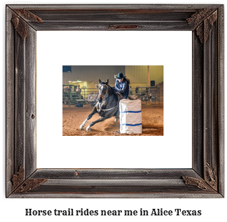 horse trail rides near me in Alice, Texas